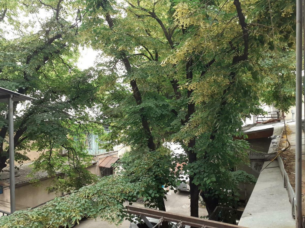 Woodmood Hostel Tbilisi Esterno foto