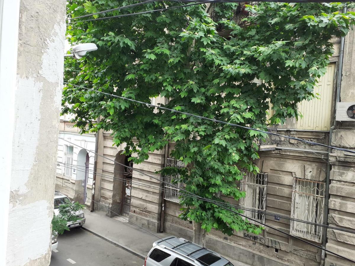 Woodmood Hostel Tbilisi Esterno foto